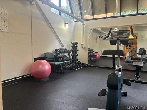 401-420 Linden Ave, Victoria, BC - Indoor Photo Showing Gym Room