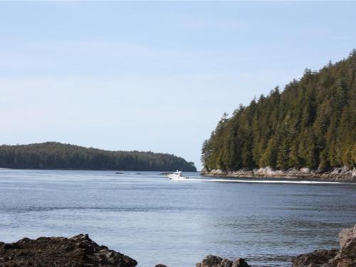 200 Campbell St, Tofino, BC - Outdoor With Body Of Water With View