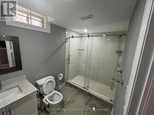 Bsmt - 6 Hibiscus Court, Brampton, ON - Indoor Photo Showing Bathroom