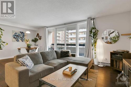 905 - 141 Somerset Street W, Ottawa, ON - Indoor Photo Showing Living Room