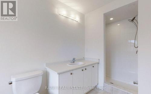 175 Wilmot Road, Brantford, ON - Indoor Photo Showing Bathroom