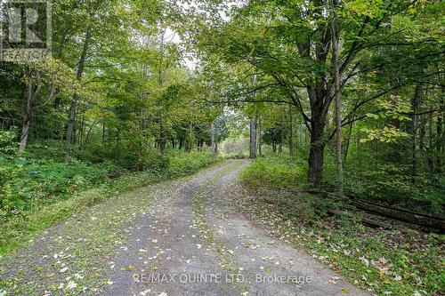 289 Maines Road, Tweed, ON - Outdoor