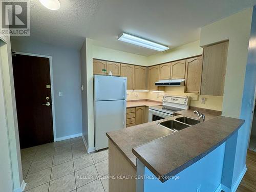 209 - 39 Oneida Crescent, Richmond Hill, ON - Indoor Photo Showing Kitchen With Double Sink