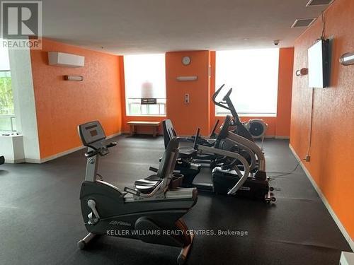 209 - 39 Oneida Crescent, Richmond Hill, ON - Indoor Photo Showing Gym Room