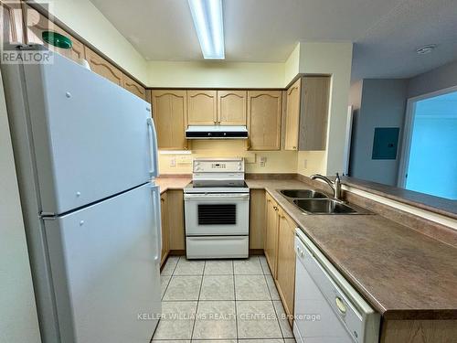 209 - 39 Oneida Crescent, Richmond Hill, ON - Indoor Photo Showing Kitchen With Double Sink