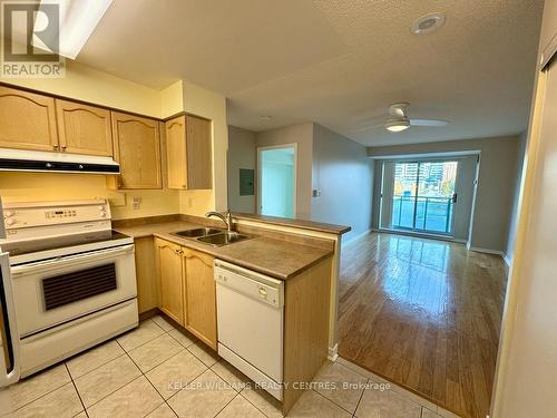 209 - 39 Oneida Crescent, Richmond Hill, ON - Indoor Photo Showing Kitchen With Double Sink