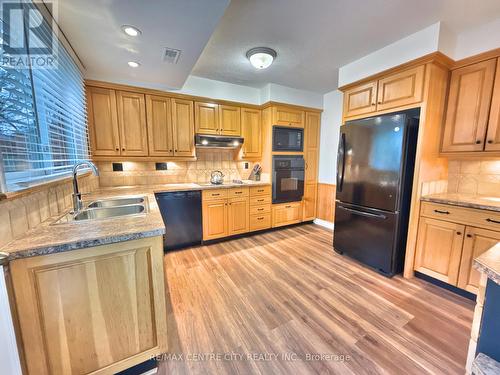 19 Crabtree Avenue, London, ON - Indoor Photo Showing Kitchen With Double Sink