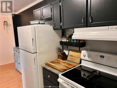 225 Campus Parkway Unit# 303, Chatham, ON - Indoor Photo Showing Kitchen