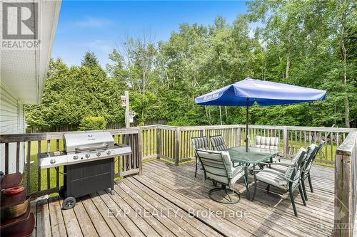 17372 Cameron Road, South Stormont, ON - Outdoor With Deck Patio Veranda With Exterior