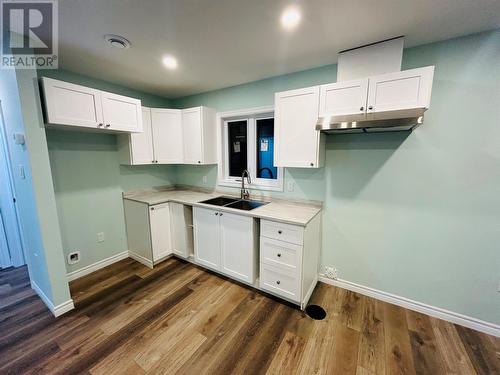 20 Hill Street, Grand Falls-Windsor, NL - Indoor Photo Showing Kitchen With Double Sink