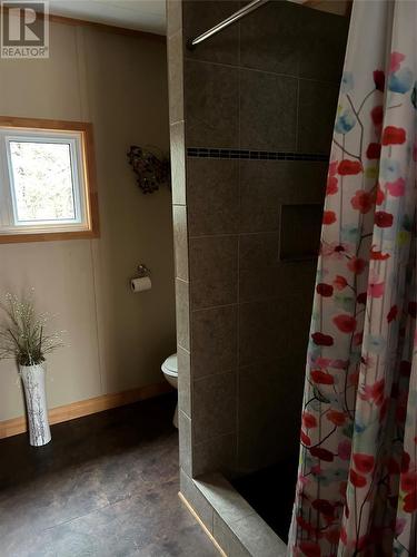 1 Murray Pond, Howley, NL - Indoor Photo Showing Bathroom