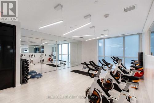 2805 - 56 Annie Craig Drive, Toronto, ON - Indoor Photo Showing Gym Room