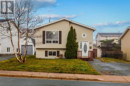 20 Frontenac Avenue, Mount Pearl, NL - Outdoor