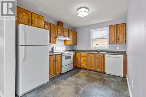 20 Frontenac Avenue, Mount Pearl, NL - Indoor Photo Showing Kitchen