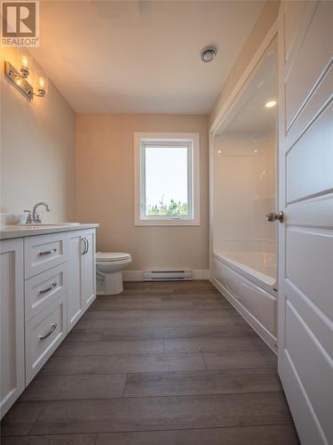 37 Harbour View Drive, Holyrood, NL - Indoor Photo Showing Bathroom