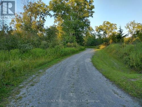 278 Whites Road, Quinte West, ON - Outdoor