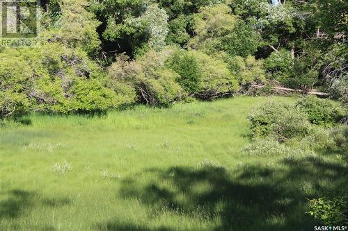 Large Cattle Ranch, Lacadena Rm No. 228, SK 