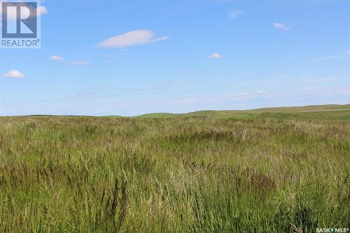 Large Cattle Ranch, Lacadena Rm No. 228, SK 