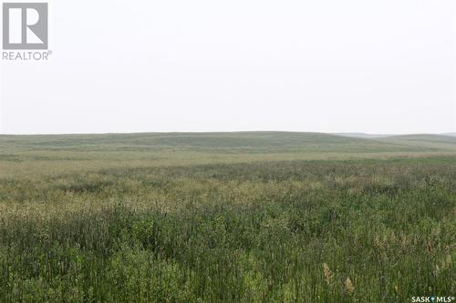 Large Cattle Ranch, Lacadena Rm No. 228, SK 