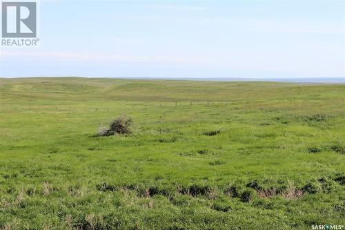 Large Cattle Ranch, Lacadena Rm No. 228, SK 