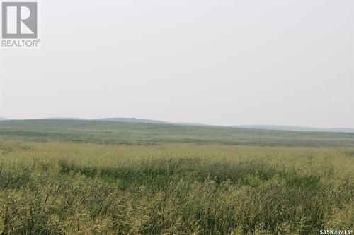 Large Cattle Ranch, Lacadena Rm No. 228, SK 