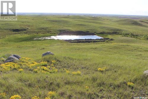 Large Cattle Ranch, Lacadena Rm No. 228, SK 