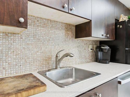 217-215 Queen St, Brampton, ON - Indoor Photo Showing Kitchen