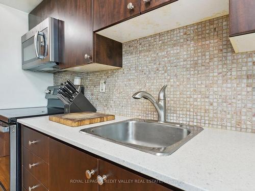 217-215 Queen St, Brampton, ON - Indoor Photo Showing Kitchen