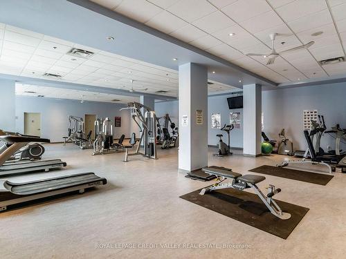 217-215 Queen St, Brampton, ON - Indoor Photo Showing Gym Room