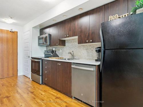 217-215 Queen St, Brampton, ON - Indoor Photo Showing Kitchen