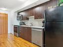 217-215 Queen St, Brampton, ON  - Indoor Photo Showing Kitchen 