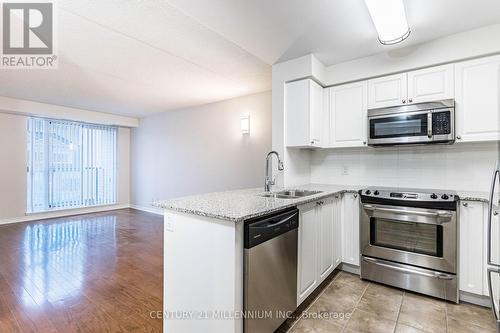 217 - 60 Via Rosedale Way, Brampton, ON - Indoor Photo Showing Kitchen With Stainless Steel Kitchen With Double Sink With Upgraded Kitchen