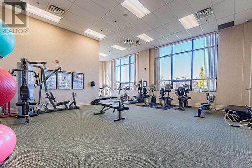 217 - 60 Via Rosedale Way, Brampton, ON - Indoor Photo Showing Gym Room