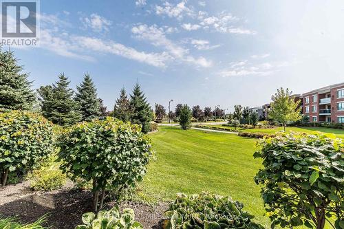 217 - 60 Via Rosedale Way, Brampton, ON - Outdoor With View