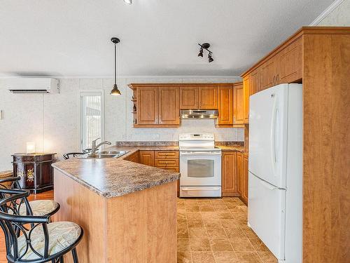 Cuisine - 109 Rue Mario, Brigham, QC - Indoor Photo Showing Kitchen With Double Sink