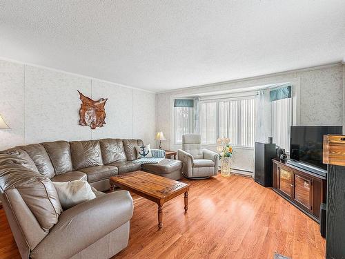 Salon - 109 Rue Mario, Brigham, QC - Indoor Photo Showing Living Room