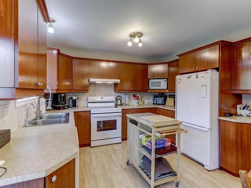 Kitchen - 136Z Rue Jimmy, Sainte-Sophie, QC - Indoor Photo Showing Kitchen With Double Sink