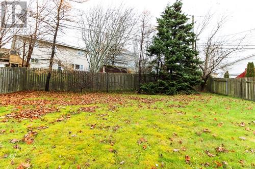 25 Hopeall Street, St. John'S, NL - Outdoor With Backyard