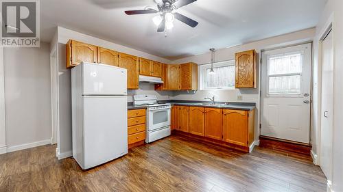 25 Hopeall Street, St. John'S, NL - Indoor Photo Showing Kitchen