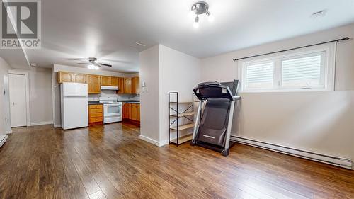 25 Hopeall Street, St. John'S, NL - Indoor Photo Showing Kitchen