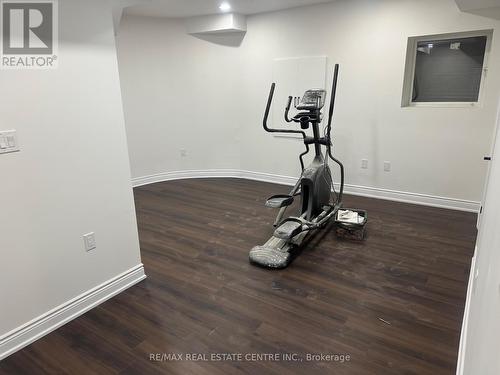 12 Canis Street, Brampton, ON - Indoor Photo Showing Gym Room