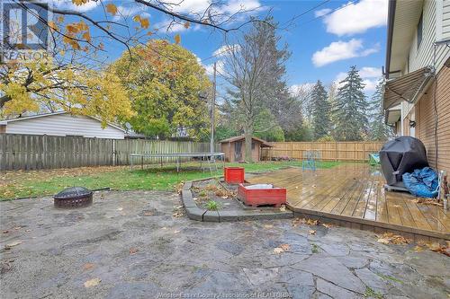 405 Laurier Drive, Lasalle, ON - Outdoor With Backyard