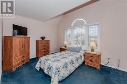 Bedroom featuring dark carpet and lofted ceiling - 