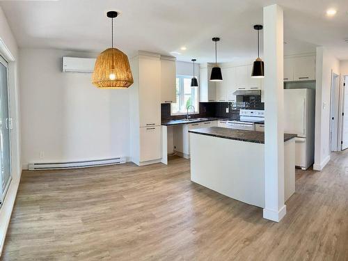 Overall view - 225 18E Avenue O., Venise-En-Québec, QC - Indoor Photo Showing Kitchen