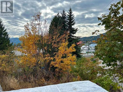 2203 Third Avenue, Rossland, BC - Outdoor With View