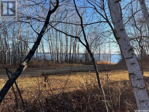 97 Lakeshore Place, Tobin Lake, SK - Outdoor With View