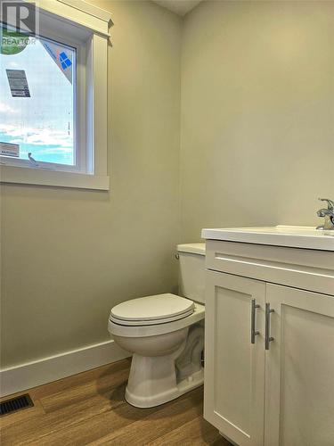 7 Farm Road, St. George'S, NL - Indoor Photo Showing Bathroom