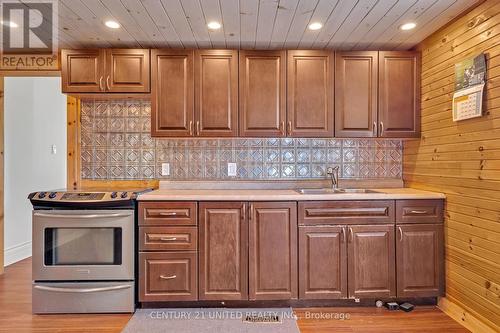 350 Dublin Street, Peterborough (Downtown), ON - Indoor Photo Showing Kitchen With Double Sink