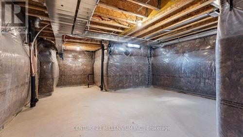 19 Mears Road, Brant, ON - Indoor Photo Showing Basement