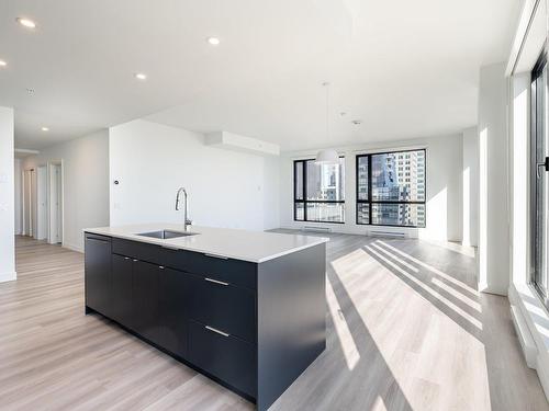 Salon - 4502-1001 Rue Lucien-L'Allier, Montréal (Ville-Marie), QC - Indoor Photo Showing Kitchen With Upgraded Kitchen